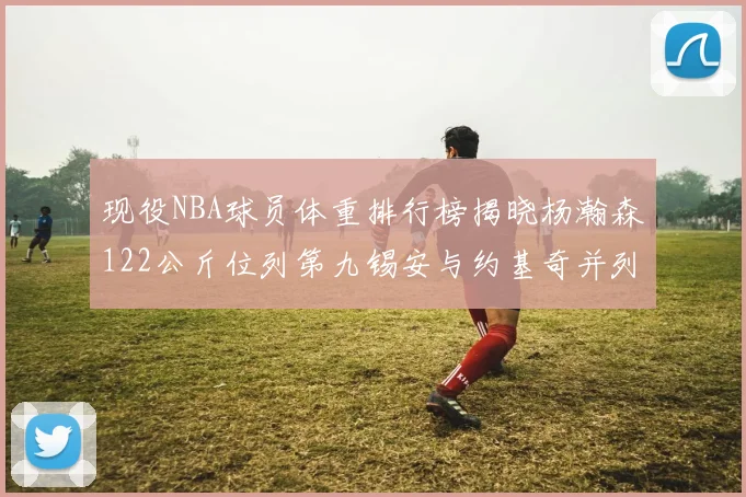 现役NBA球员体重排行榜揭晓杨瀚森122公斤位列第九锡安与约基奇并列第三