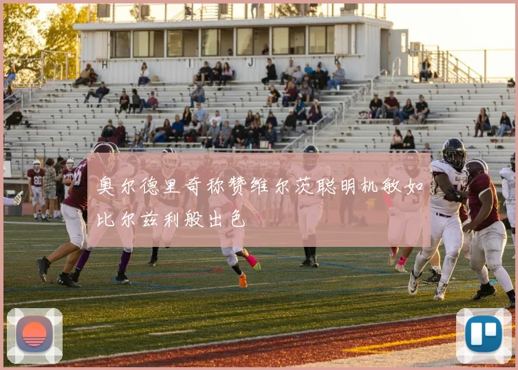 奥尔德里奇称赞维尔茨聪明机敏如比尔兹利般出色
