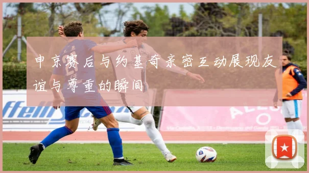 申京赛后与约基奇亲密互动展现友谊与尊重的瞬间