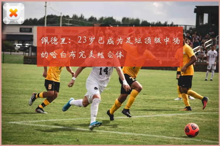 佩德里：23岁已成为足坛顶级中场的哈白布完美结合体