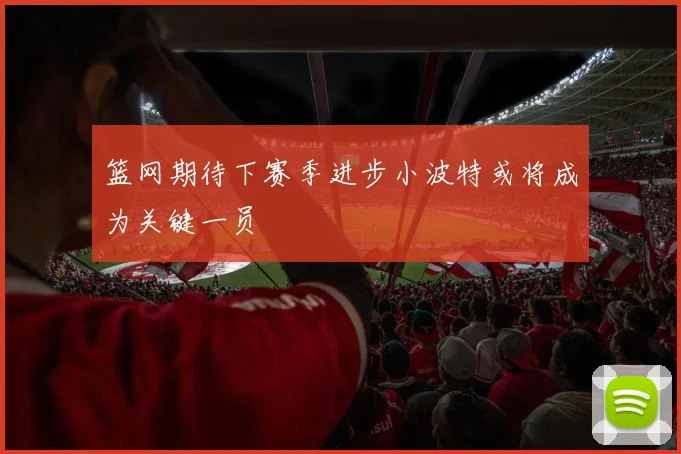 篮网期待下赛季进步小波特或将成为关键一员