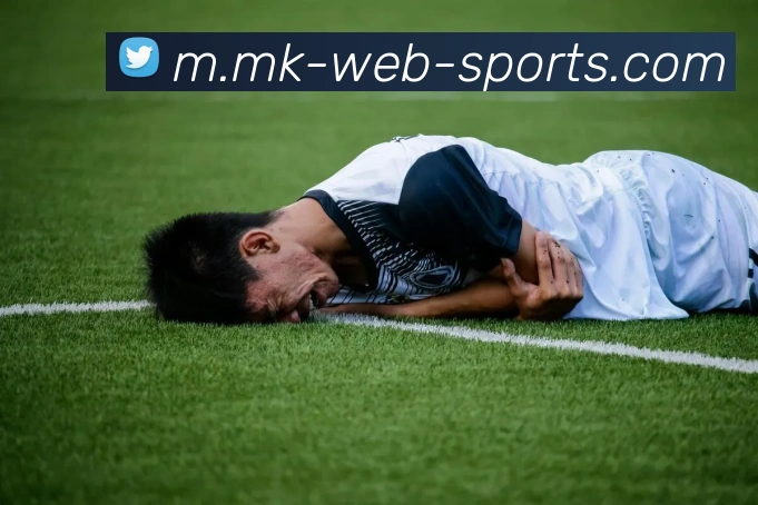 MK体育服务体系